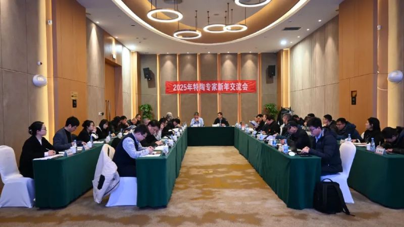 開(kāi)年聚力 共謀新篇 | 2025年特陶專(zhuān)家新年交流會(huì)圓滿(mǎn)舉辦